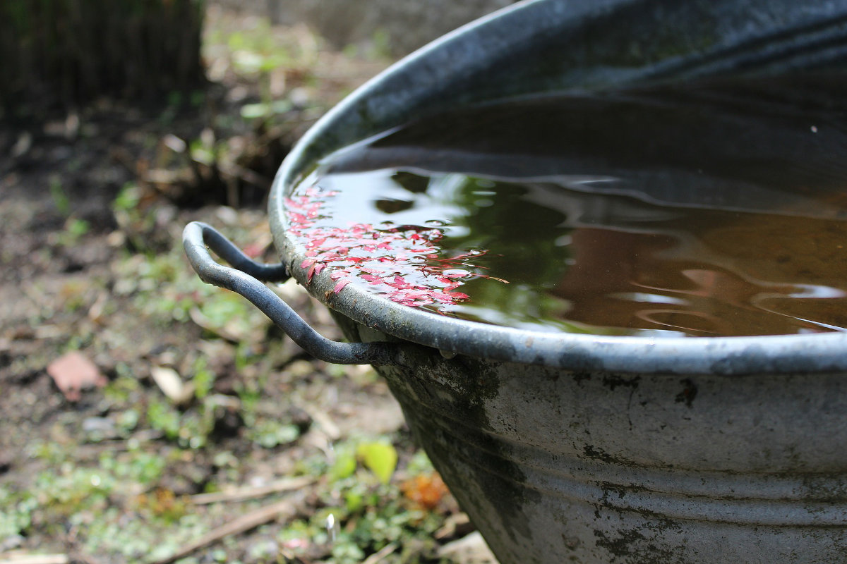 rainwater-140754_1200 Zählerstände ablesen und onlien übermitteln
